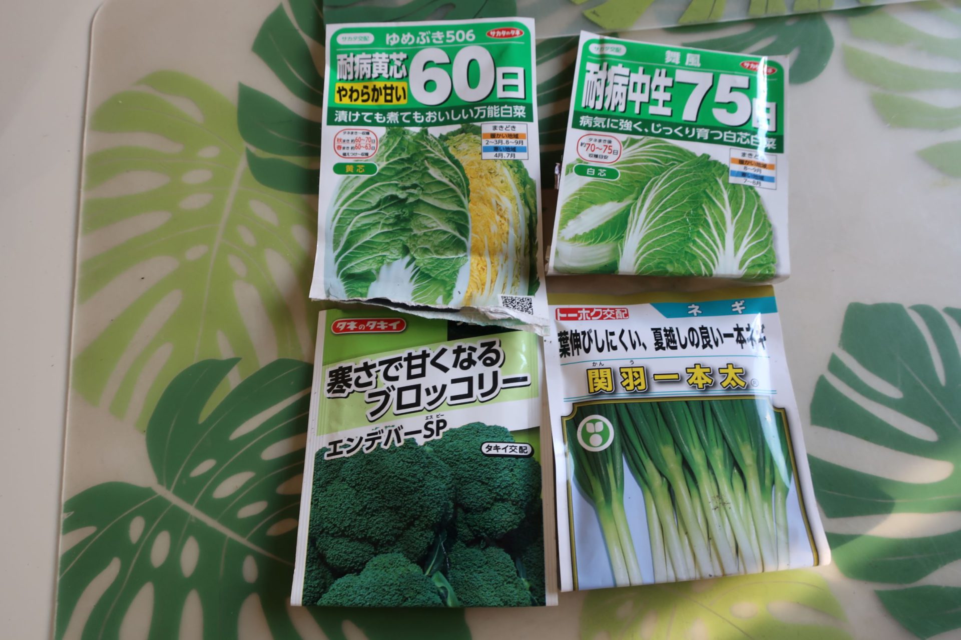 秋　種蒔き　220905